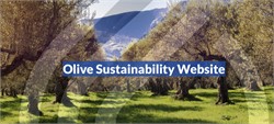 New Website on Olive Sustainability 